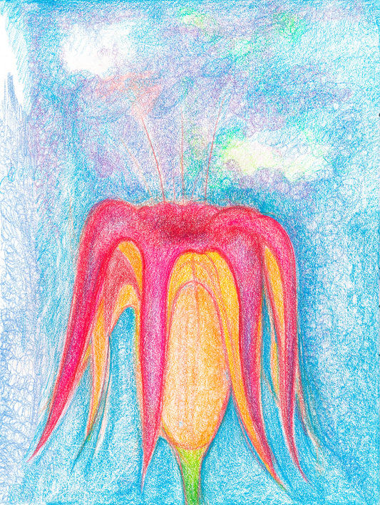 Red & Orange Flowers